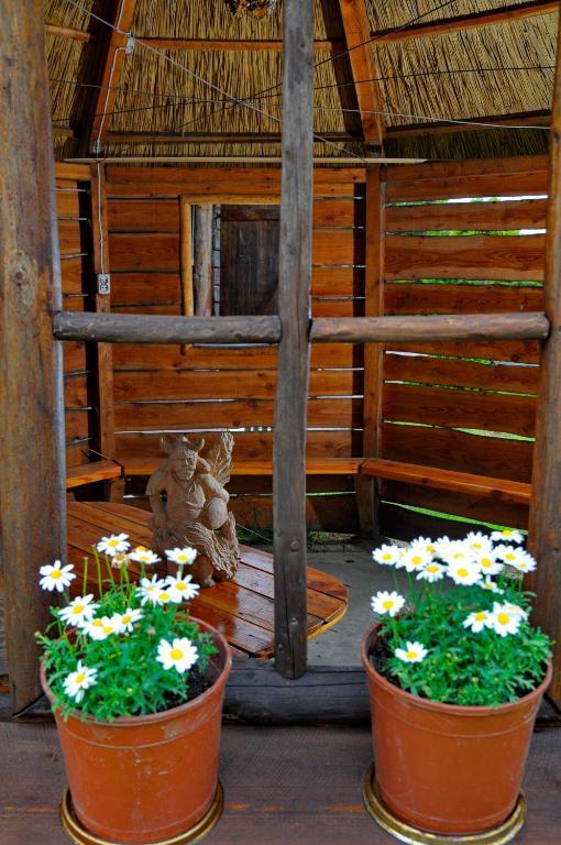 Pensjonacik Ewa Bed & Breakfast Darlowo Exterior photo